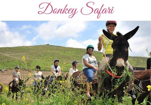 donkey safari is one of the most fun excursions in Cyprus