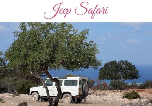 the best jeep safari to get in Cyprus